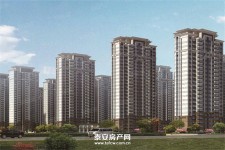 密州鑫城·新东苑名邸3室好楼层，比售处优惠2万